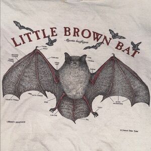 Little Brown Bat Graphic T-Shirt